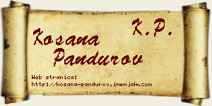 Kosana Pandurov vizit kartica